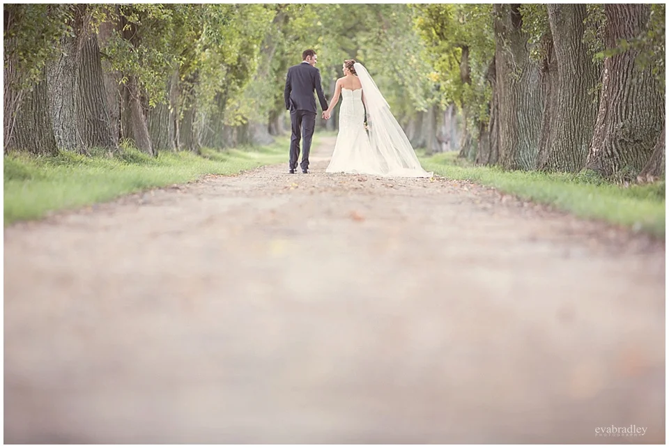 Sileni Winery wedding by Hawkes Bay wedding photographers, Eva Bradley Photography