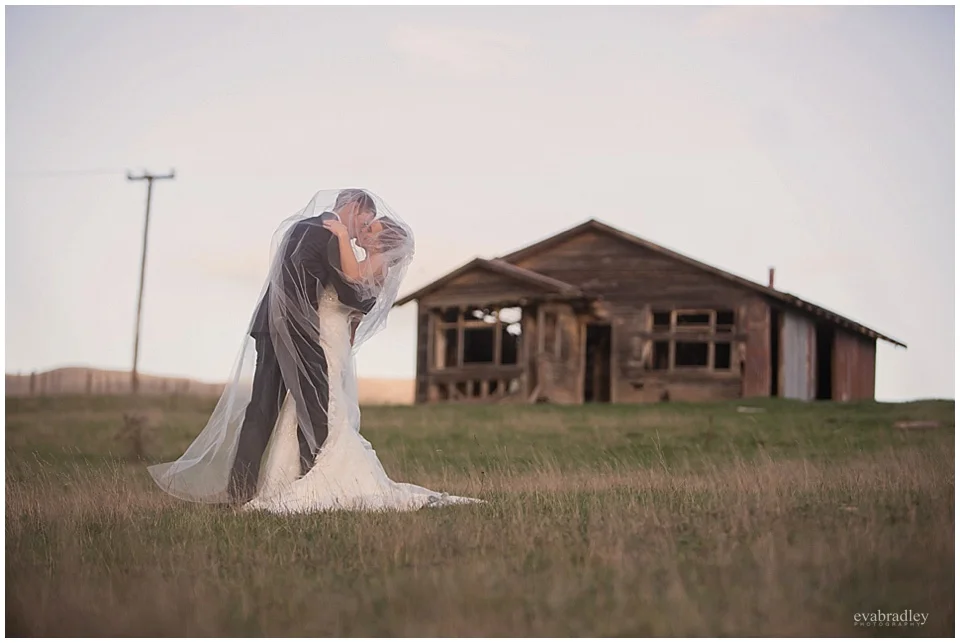 Sileni Winery wedding by Hawkes Bay wedding photographers, Eva Bradley Photography