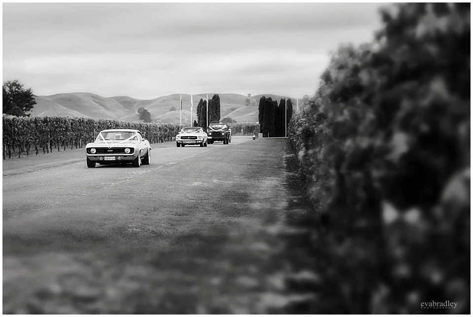 Sileni Winery wedding by Hawkes Bay wedding photographers, Eva Bradley Photography