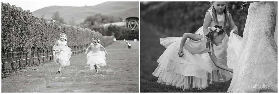 Sileni Winery wedding by Hawkes Bay wedding photographers, Eva Bradley Photography
