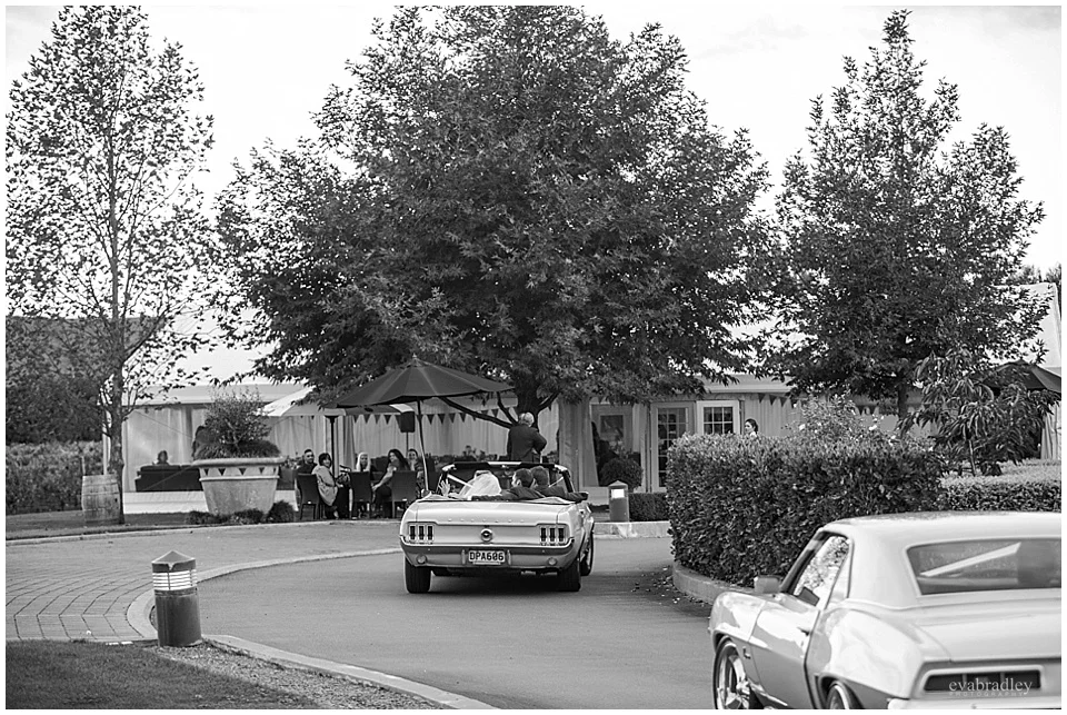 Sileni Winery wedding by Hawkes Bay wedding photographers, Eva Bradley Photography