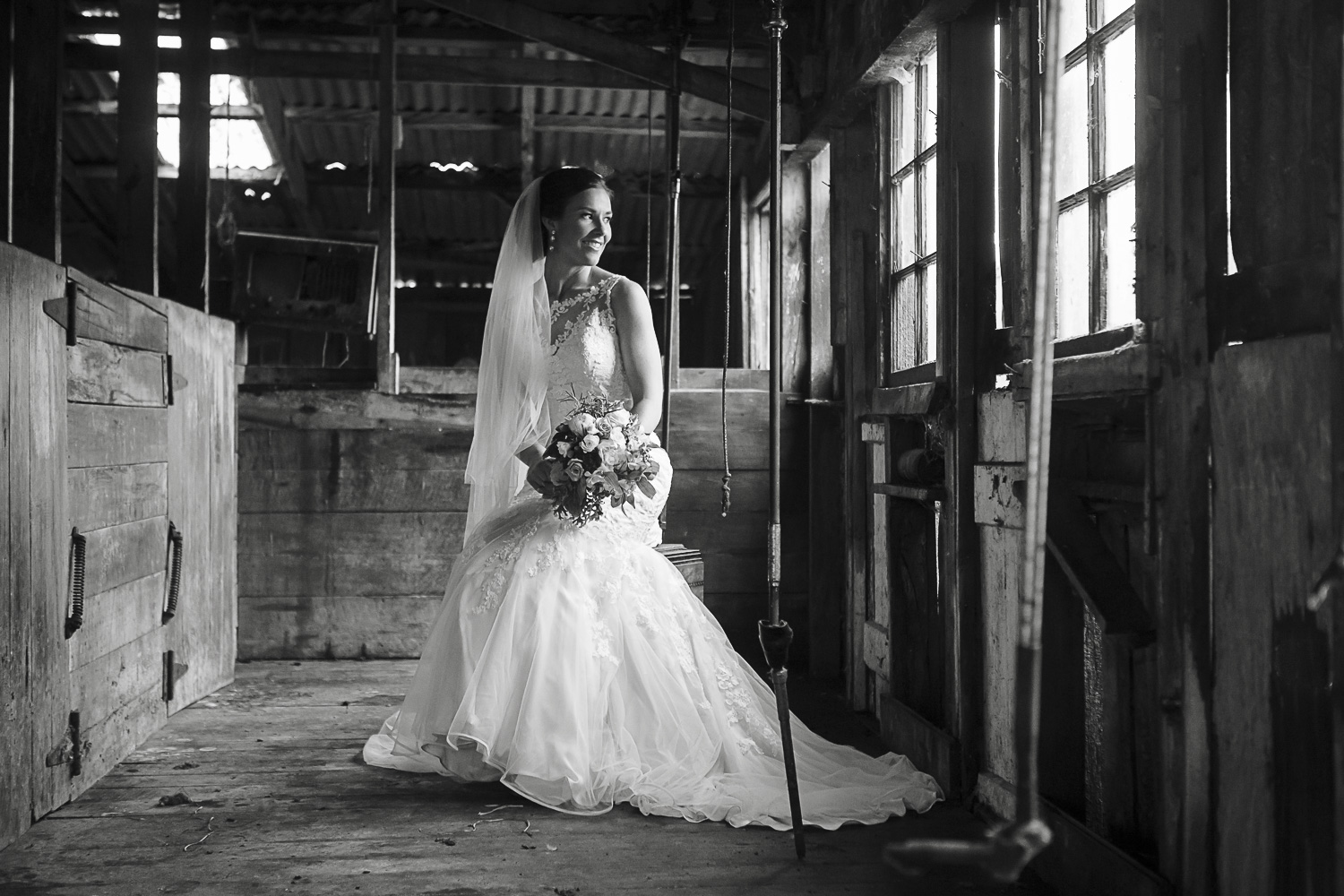 manawatu photographers