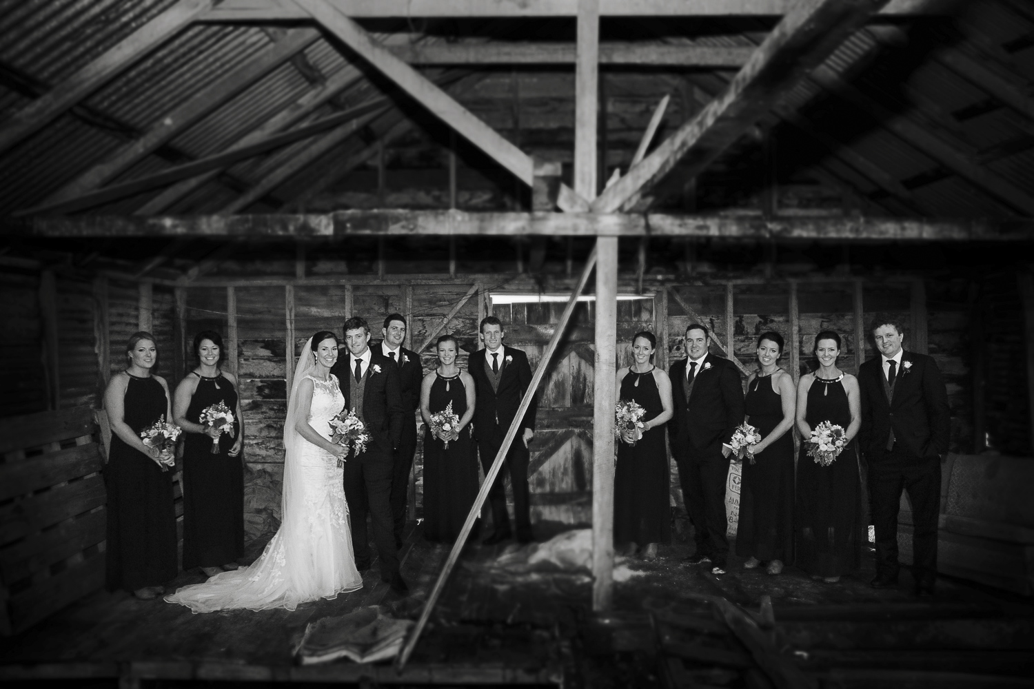 napier wedding photographers