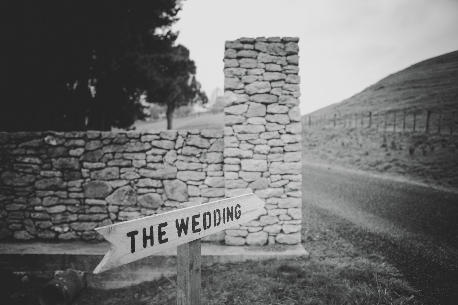 Eva Bradley Photography