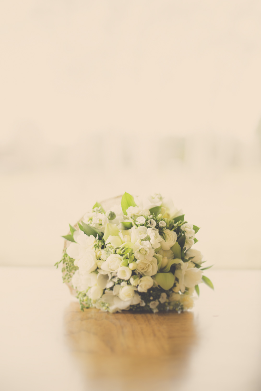 wellington wedding photographers