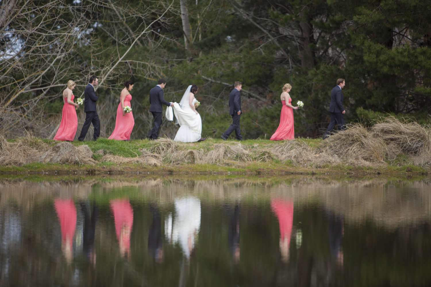 michelle fey wedding photography hawkes bay