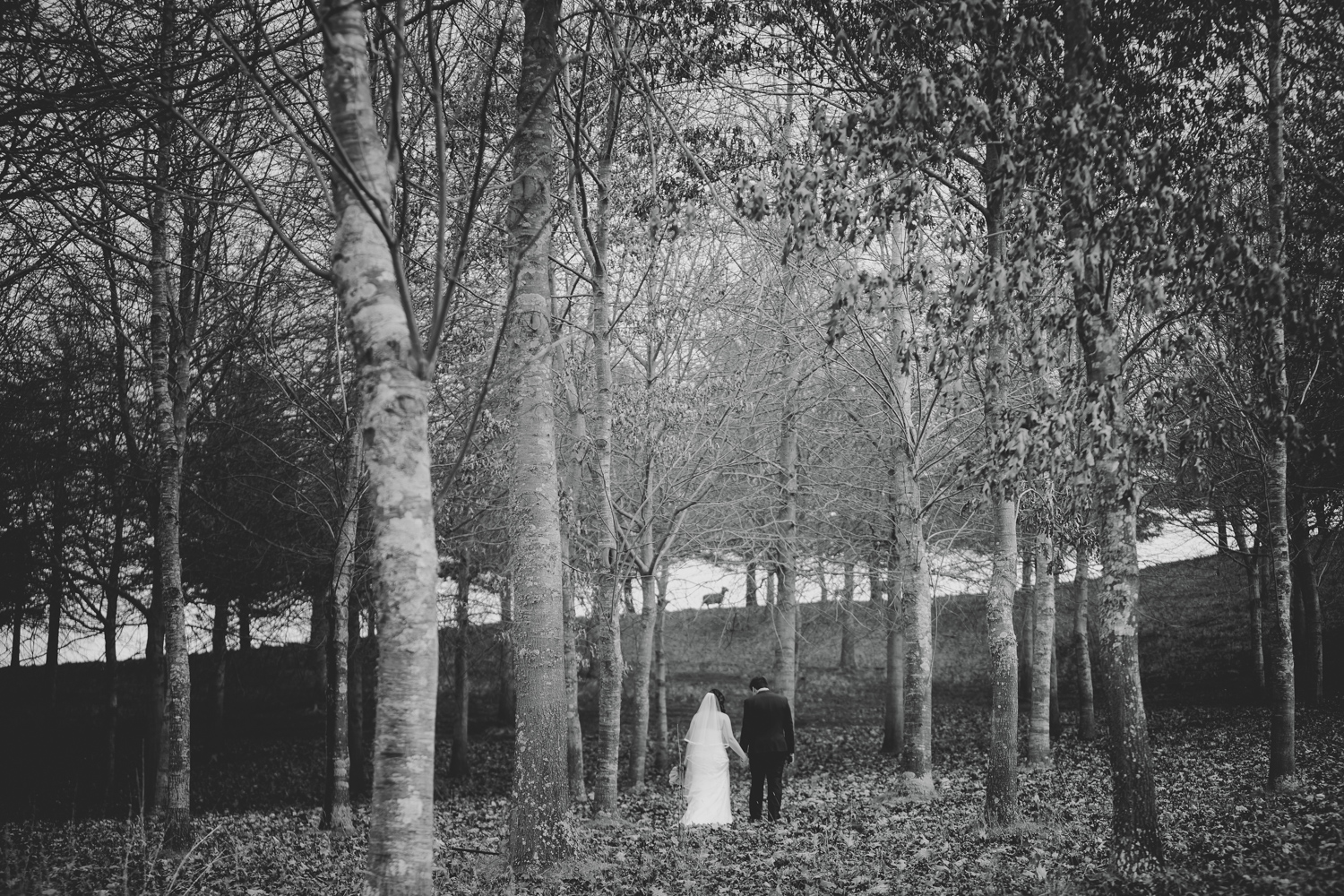 eva bradley photographer