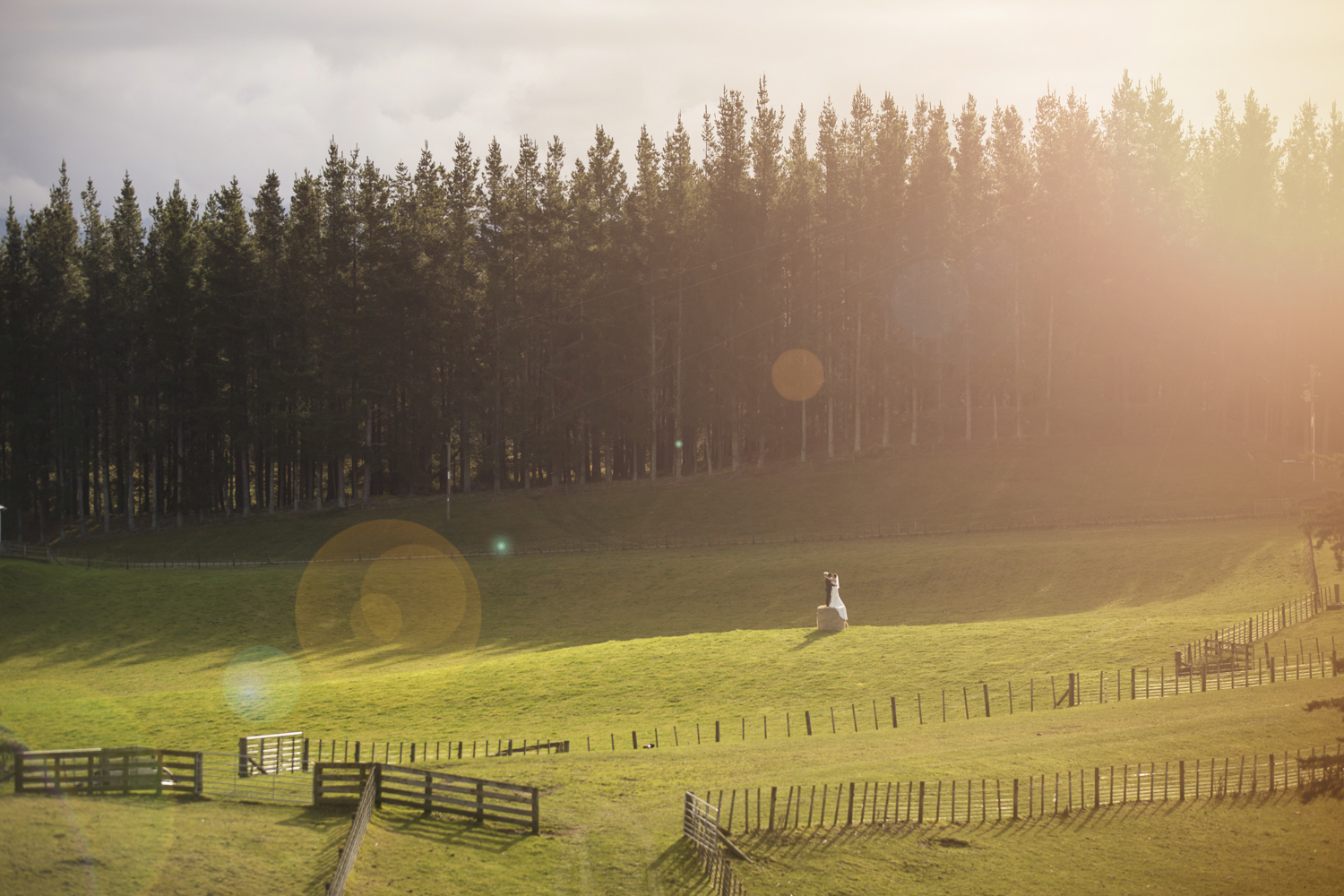 best wedding photographers in hawke's bay