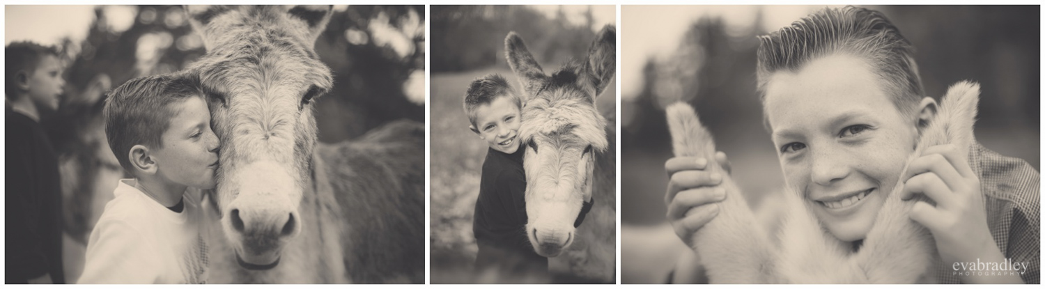 family portrait photographers havelock north