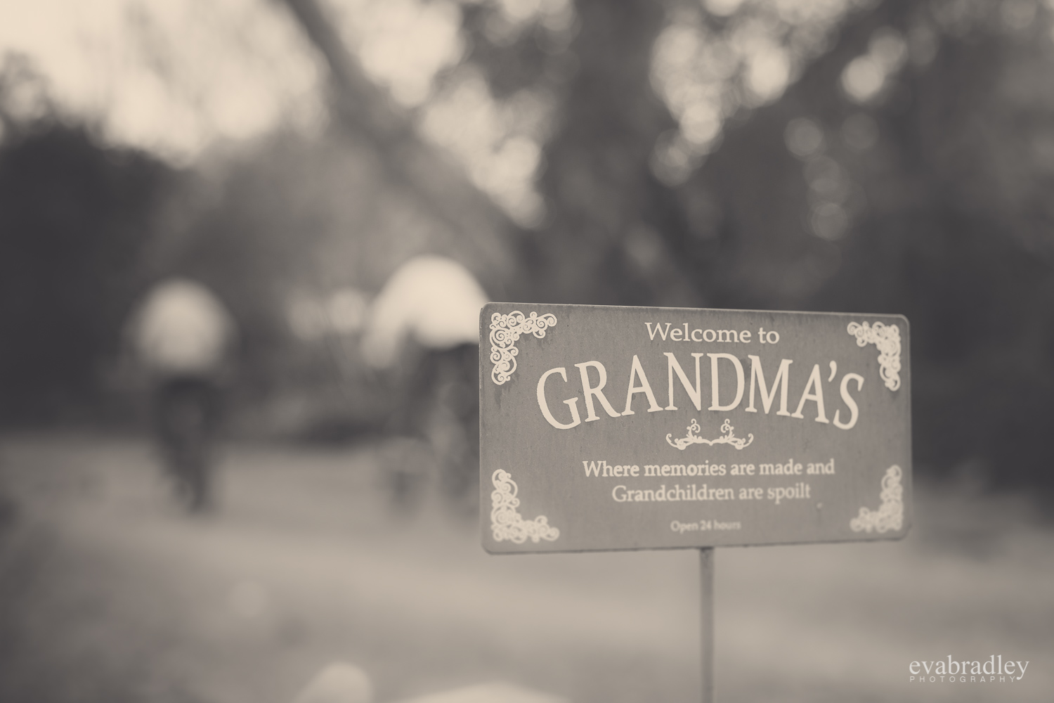 hawkes bay photographer