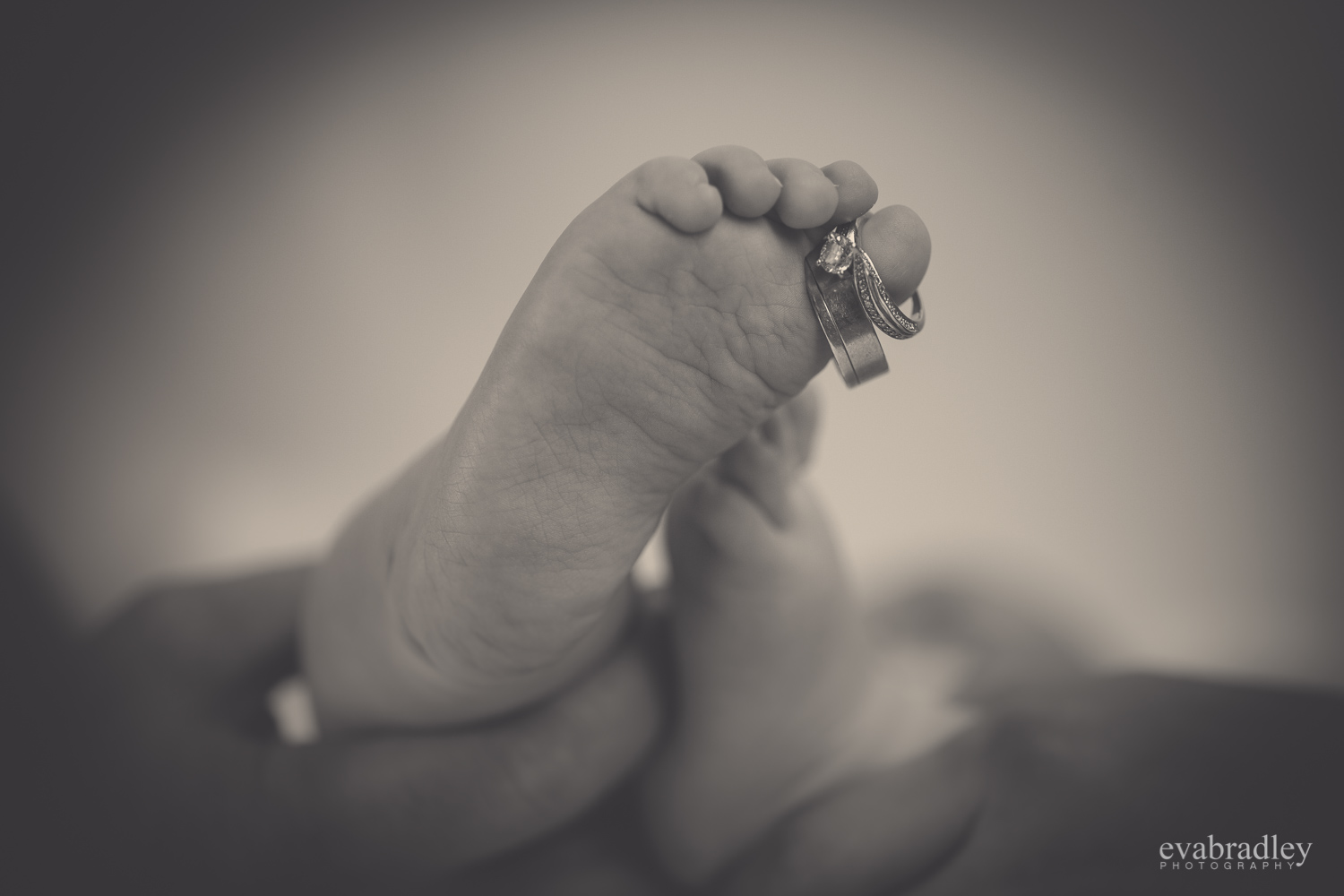 hawkes-bay-baby-photographers-007.jpg