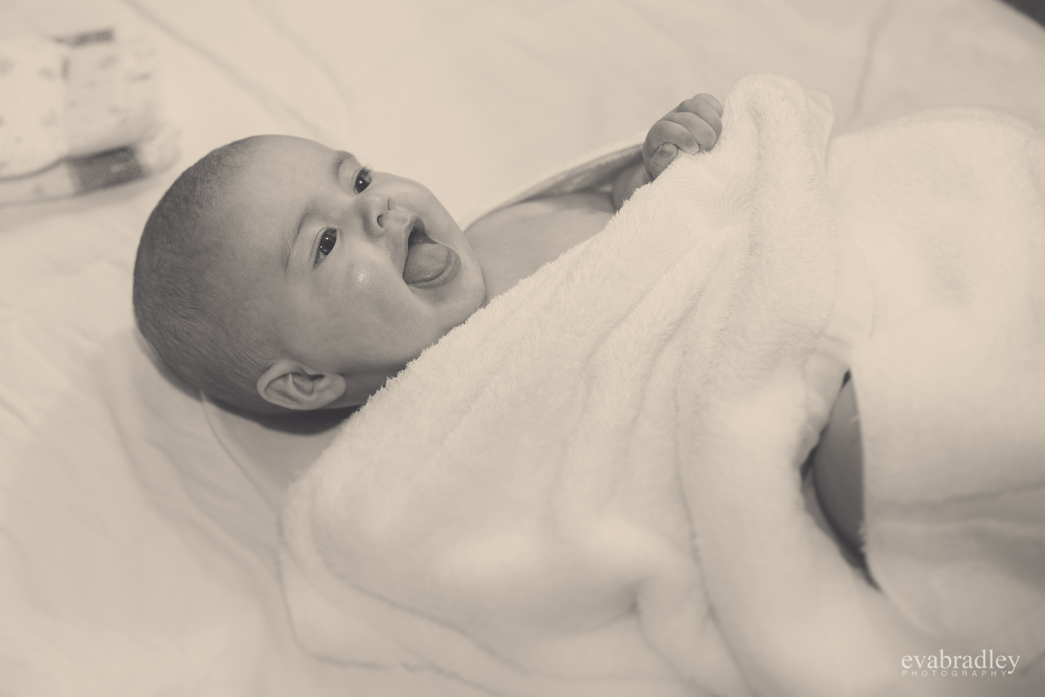 hawkes-bay-baby-photographers-018.jpg