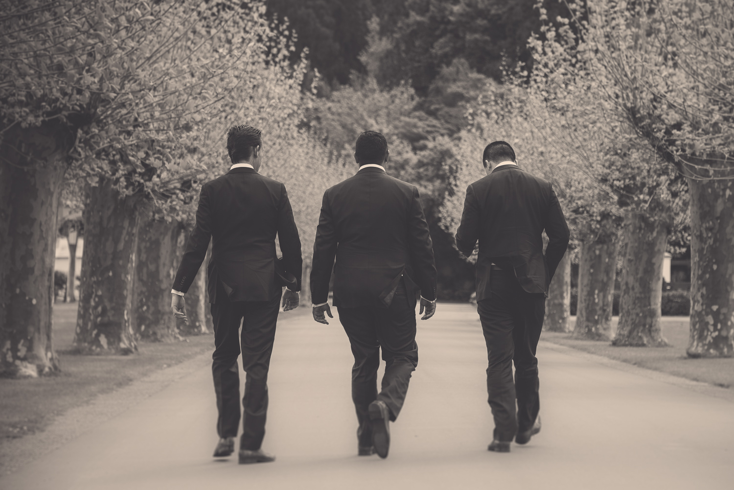 nz-wedding-photographers