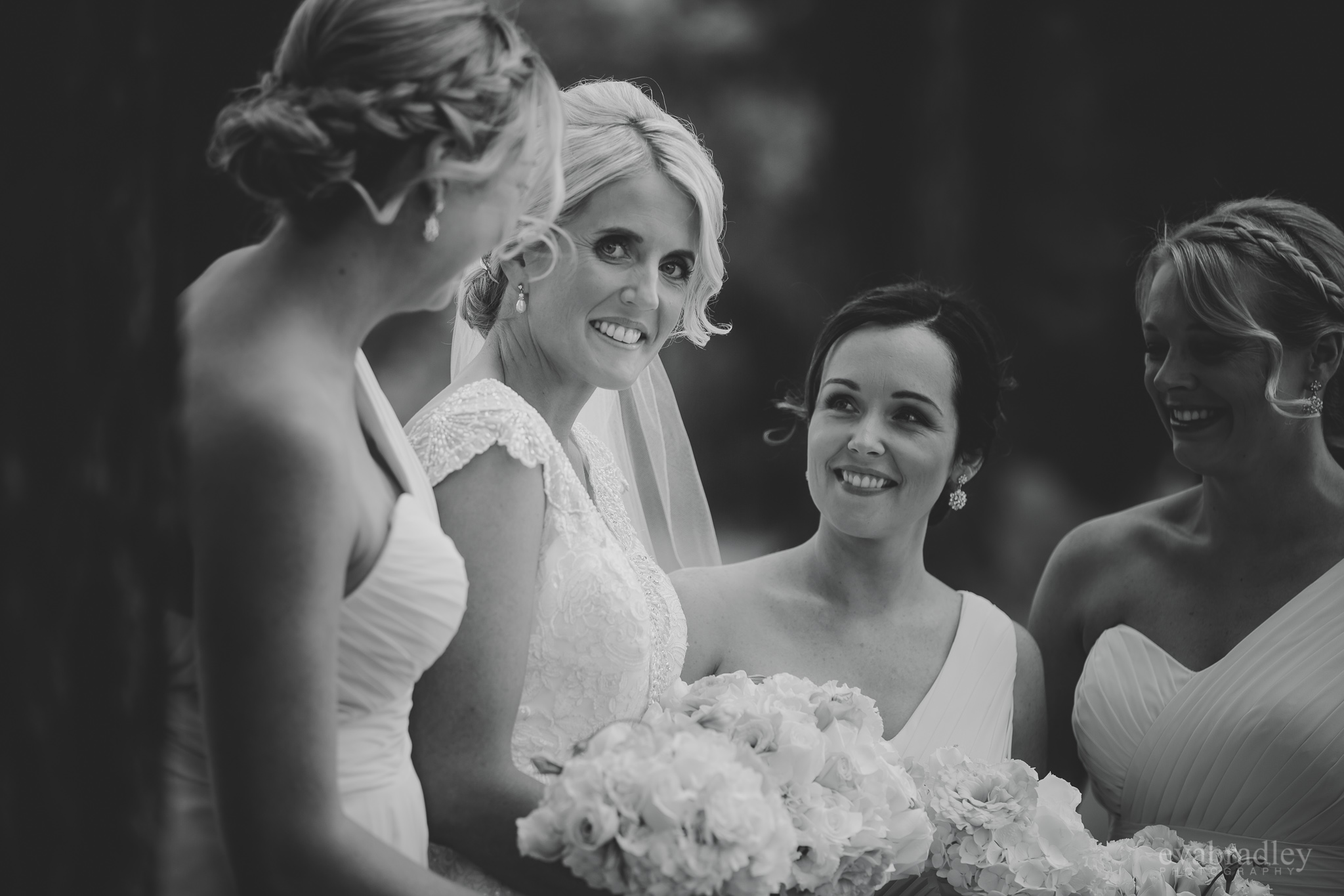 hawkes-bay-weddings