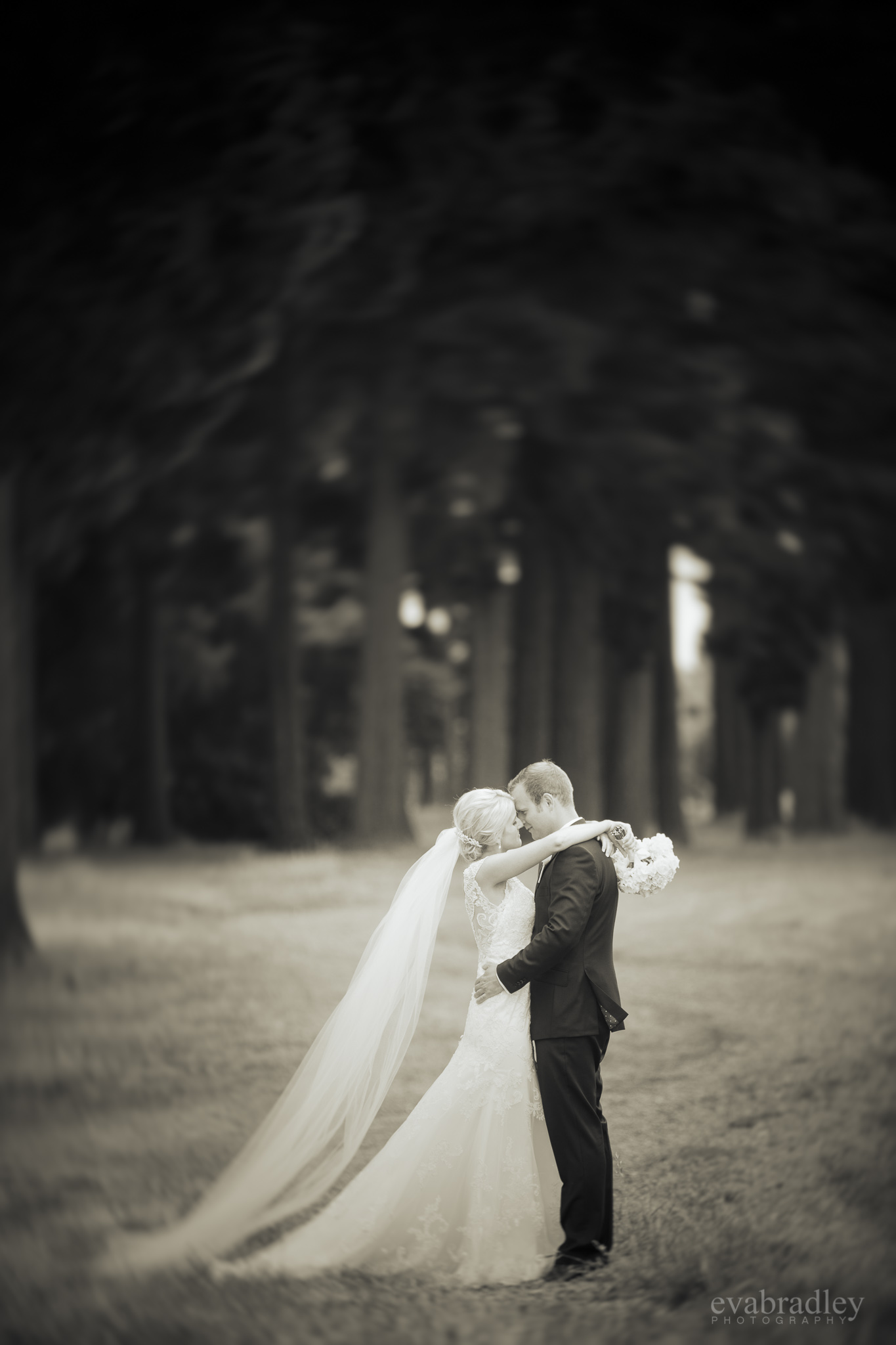 wedding-photographers-nz