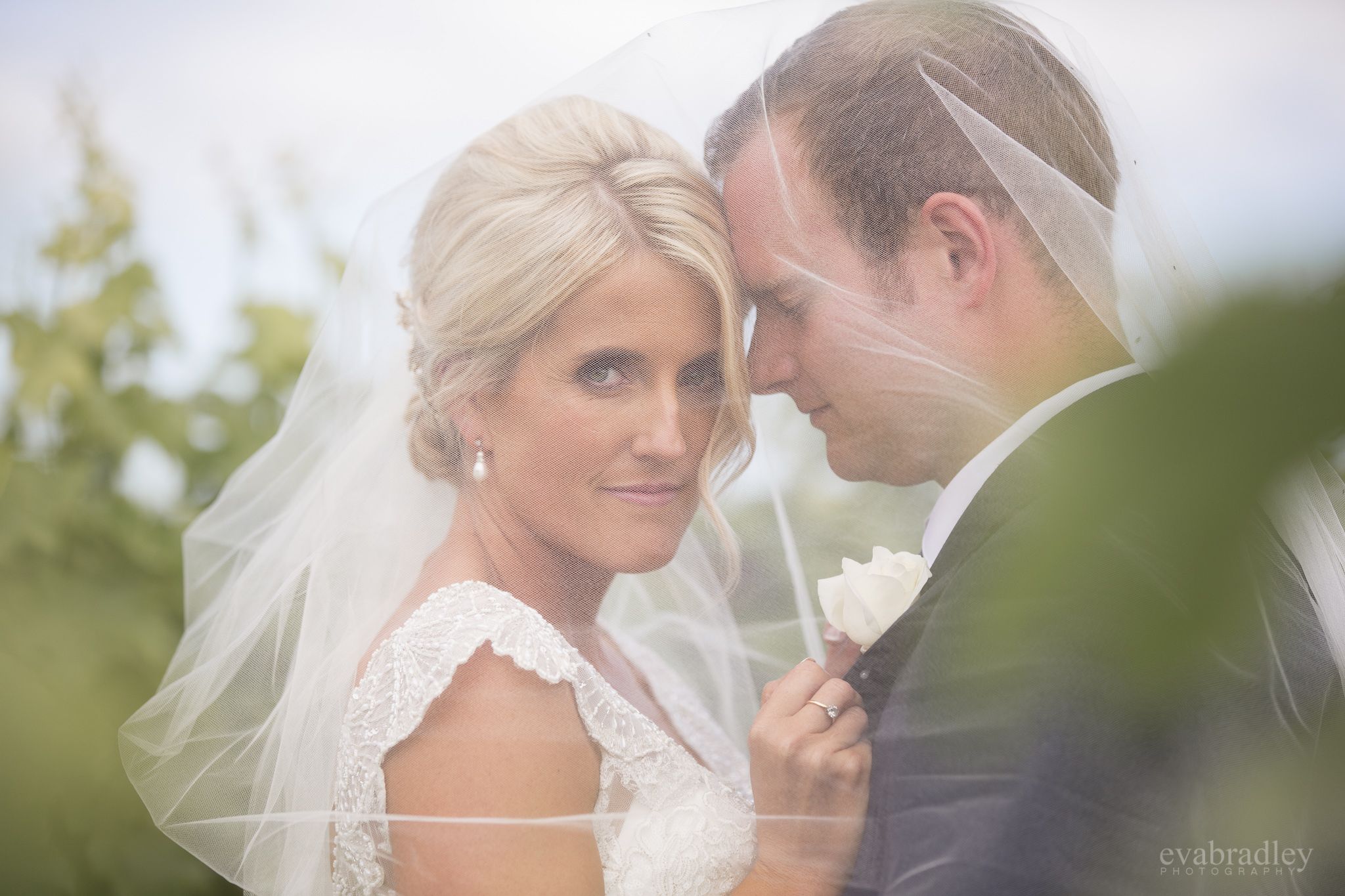 best-wedding-photographers-hawkes-bay