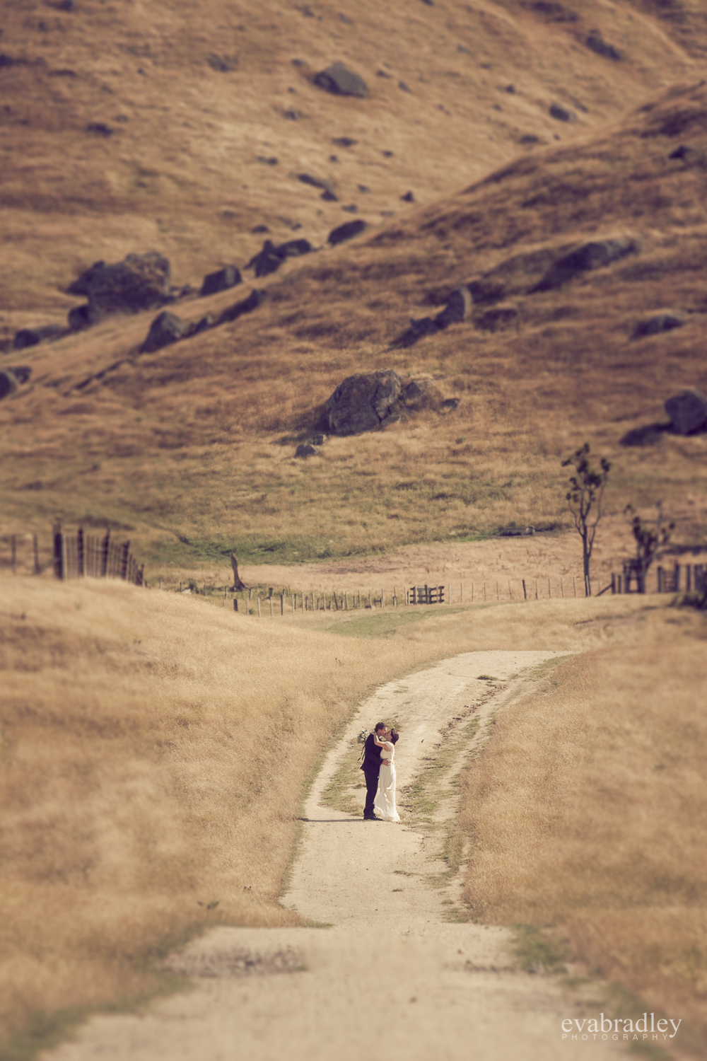 best-hawkes-bay-wedding-photographers-nz