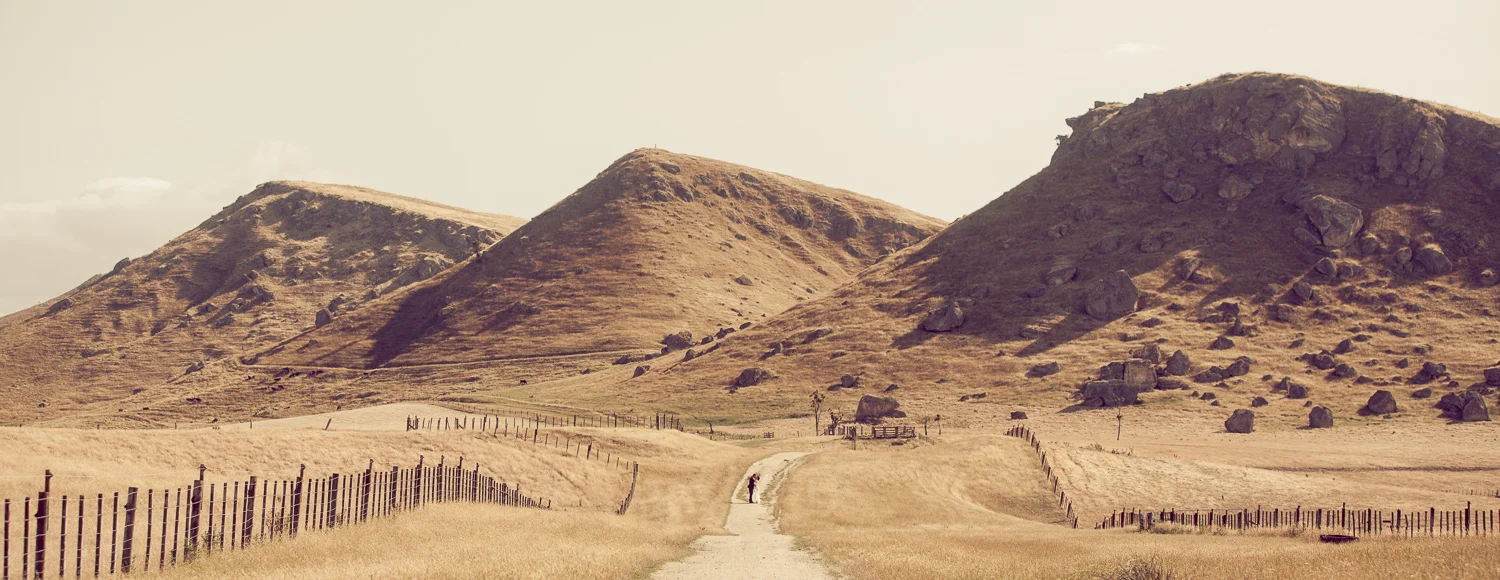 Kate & DK - A beautiful Oruawharo wedding in Central Hawke's Bay