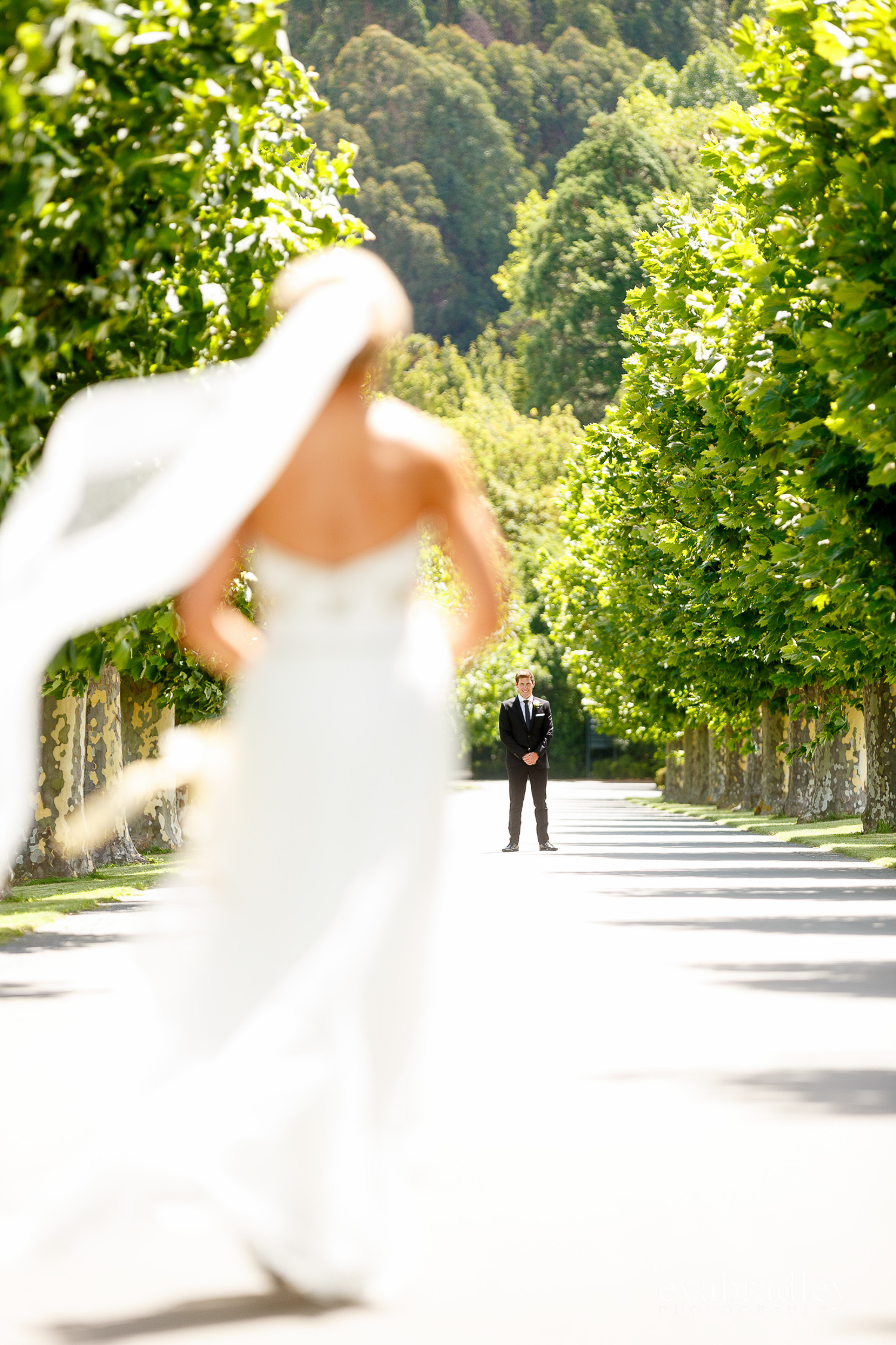 first-look-hawkes-bay-photographers