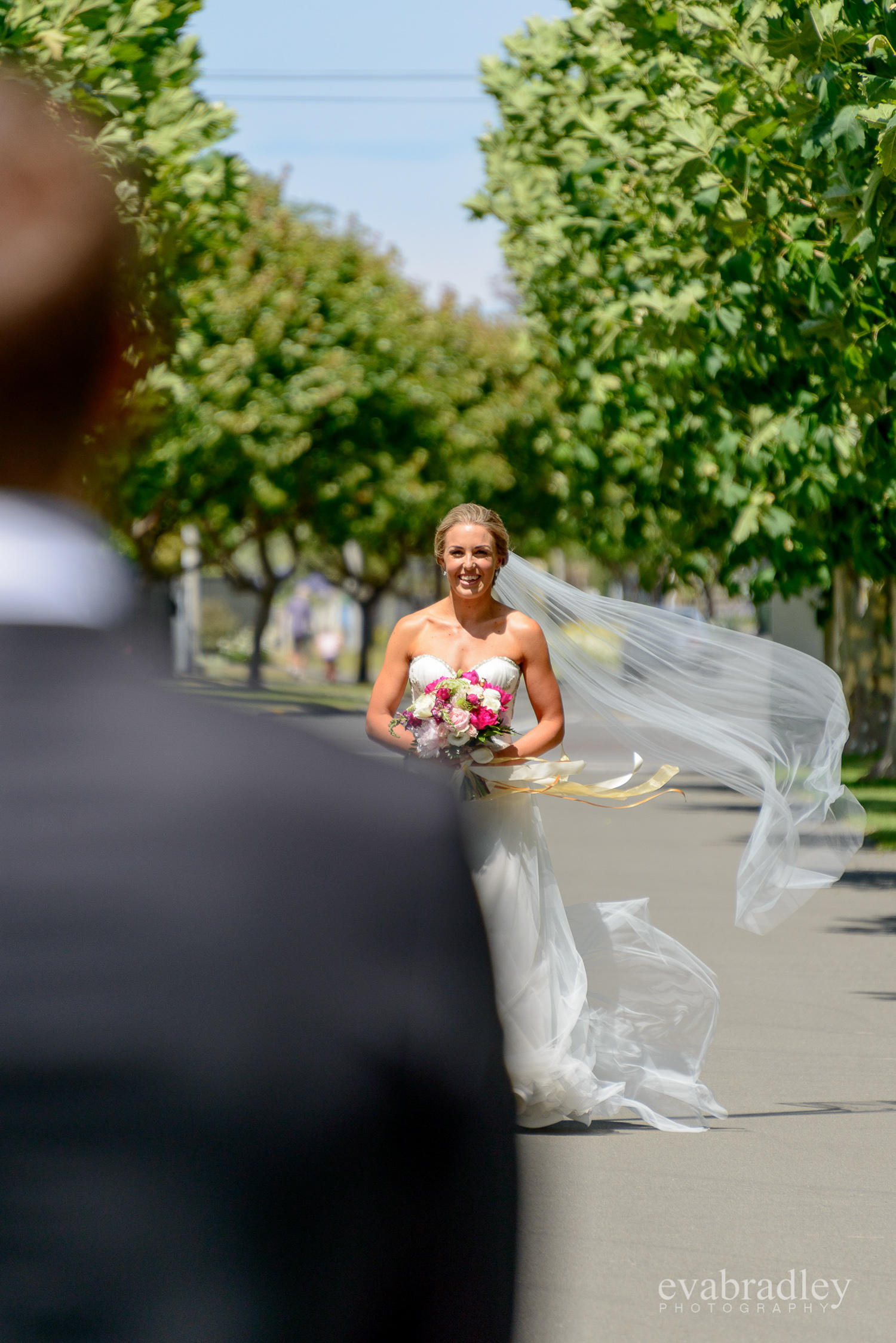 hawkes-bay-photographers