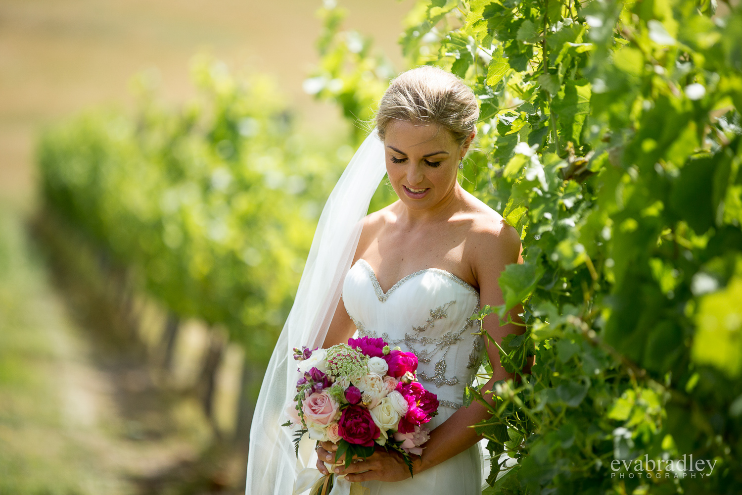 new-zealand-winery-weddings