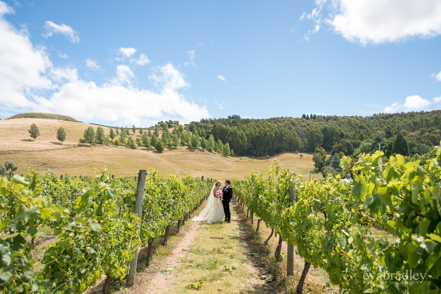 vineyard-weddings-hawkes-bay