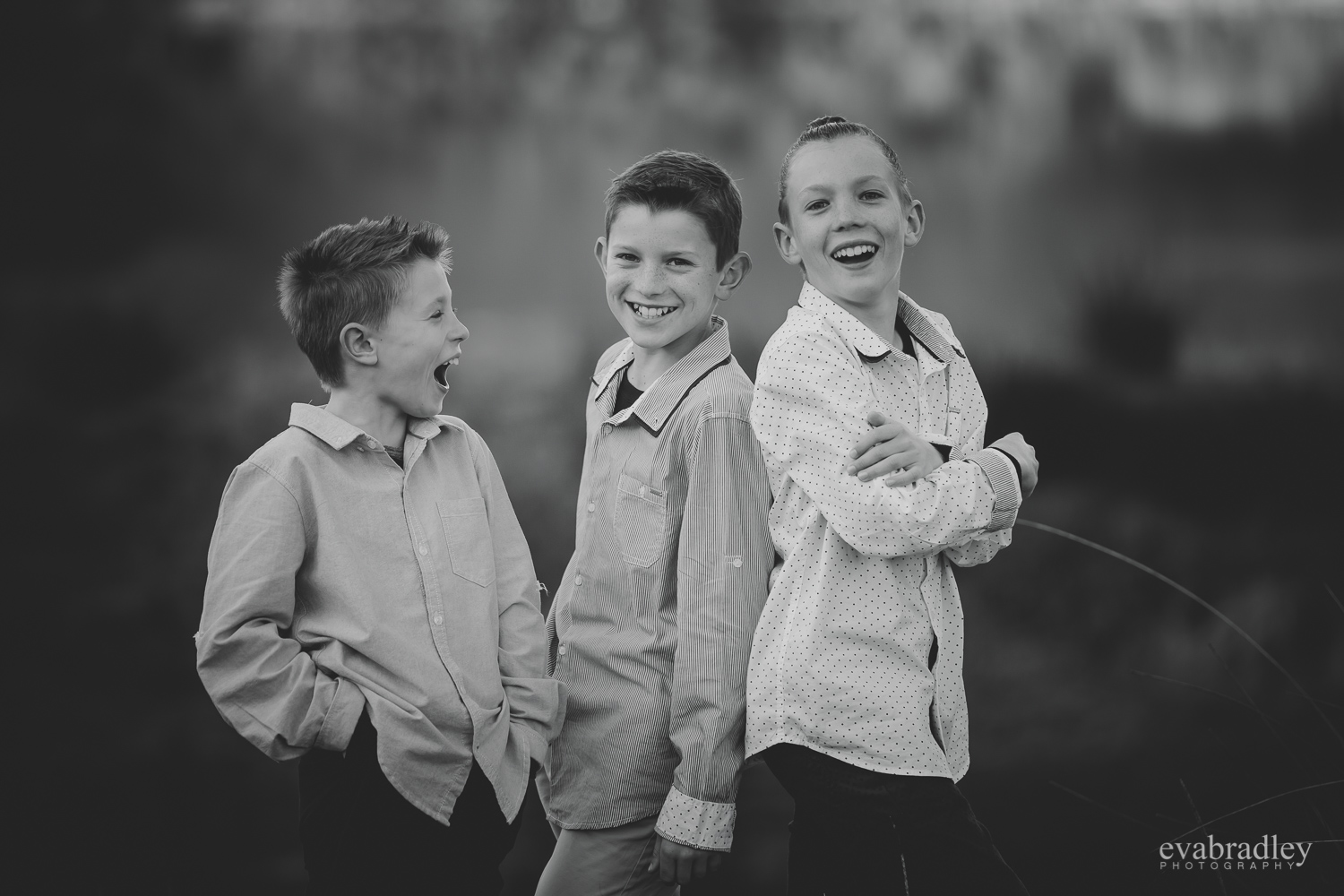 portrait-photographers-hawkes-bay
