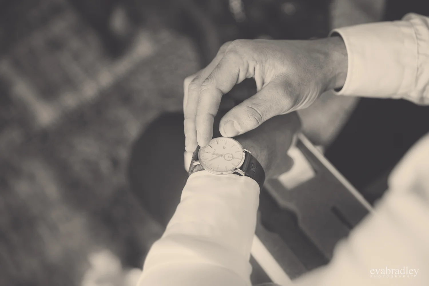 best-photographers-hawkes-bay