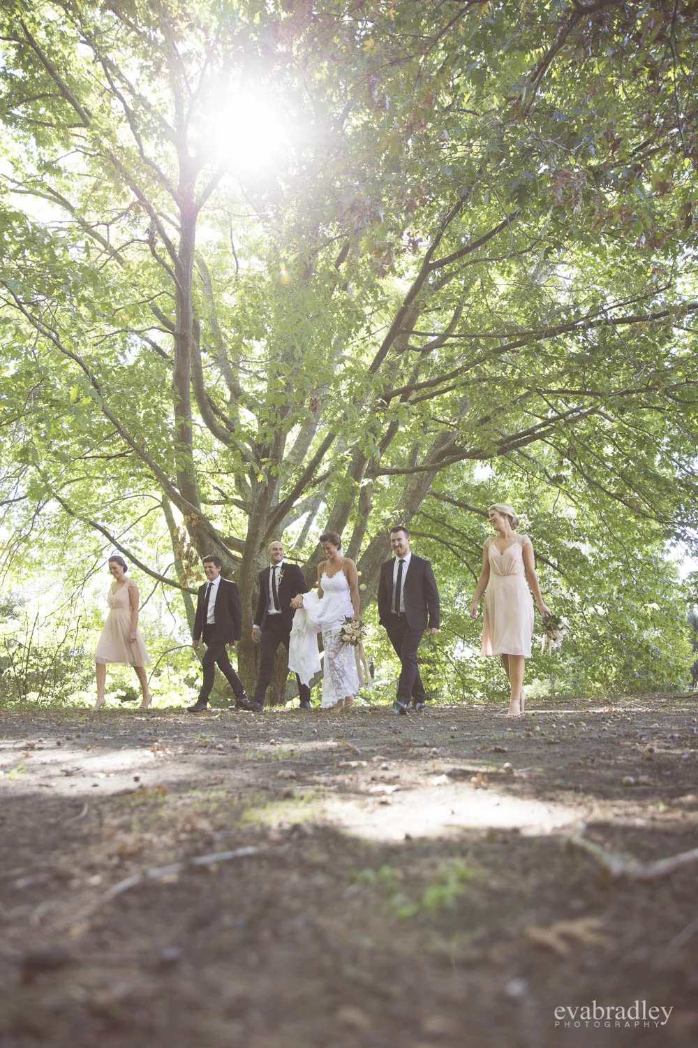 hawkes-bay-best-photographers