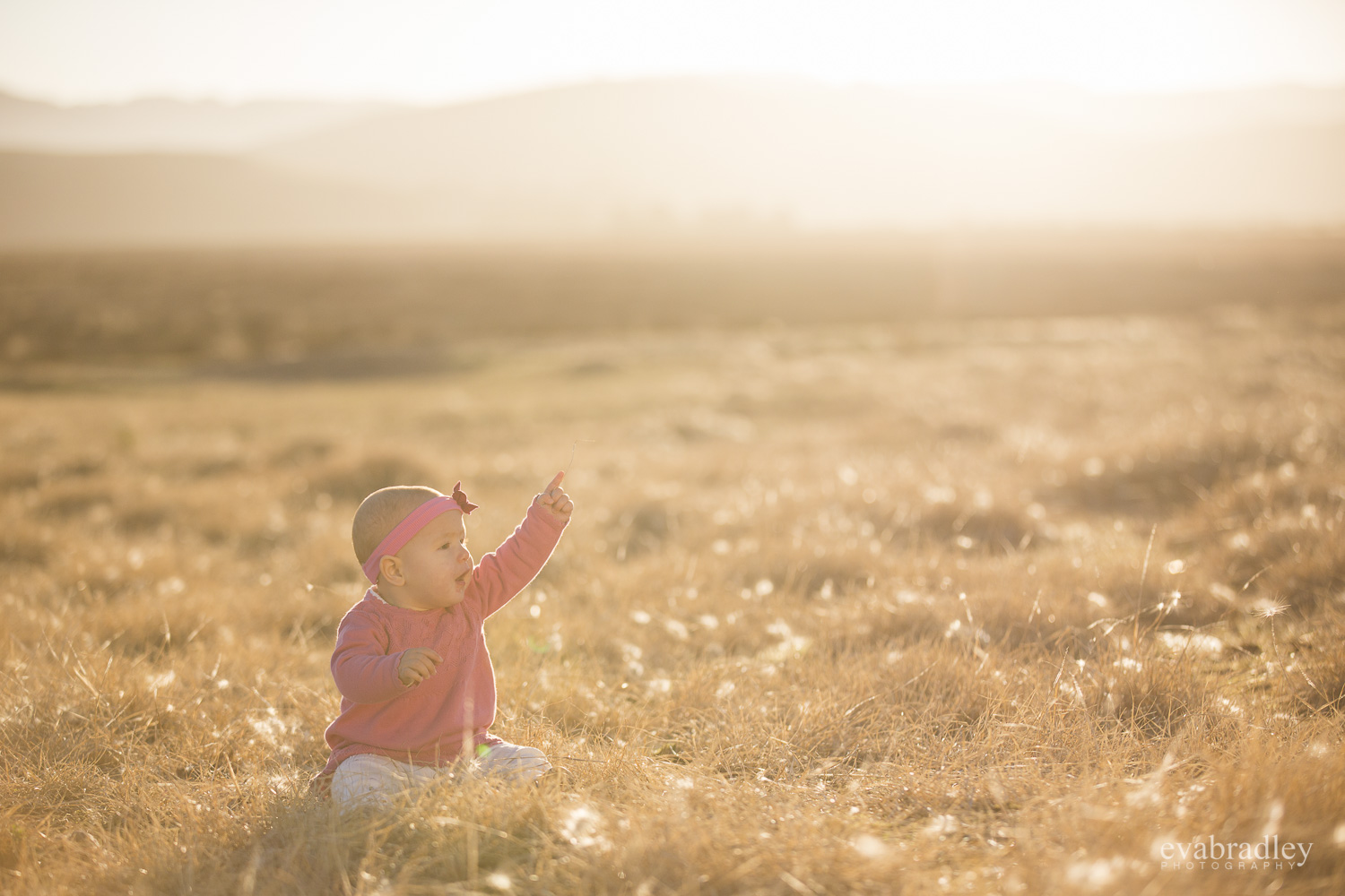 top photographers hawkes bay