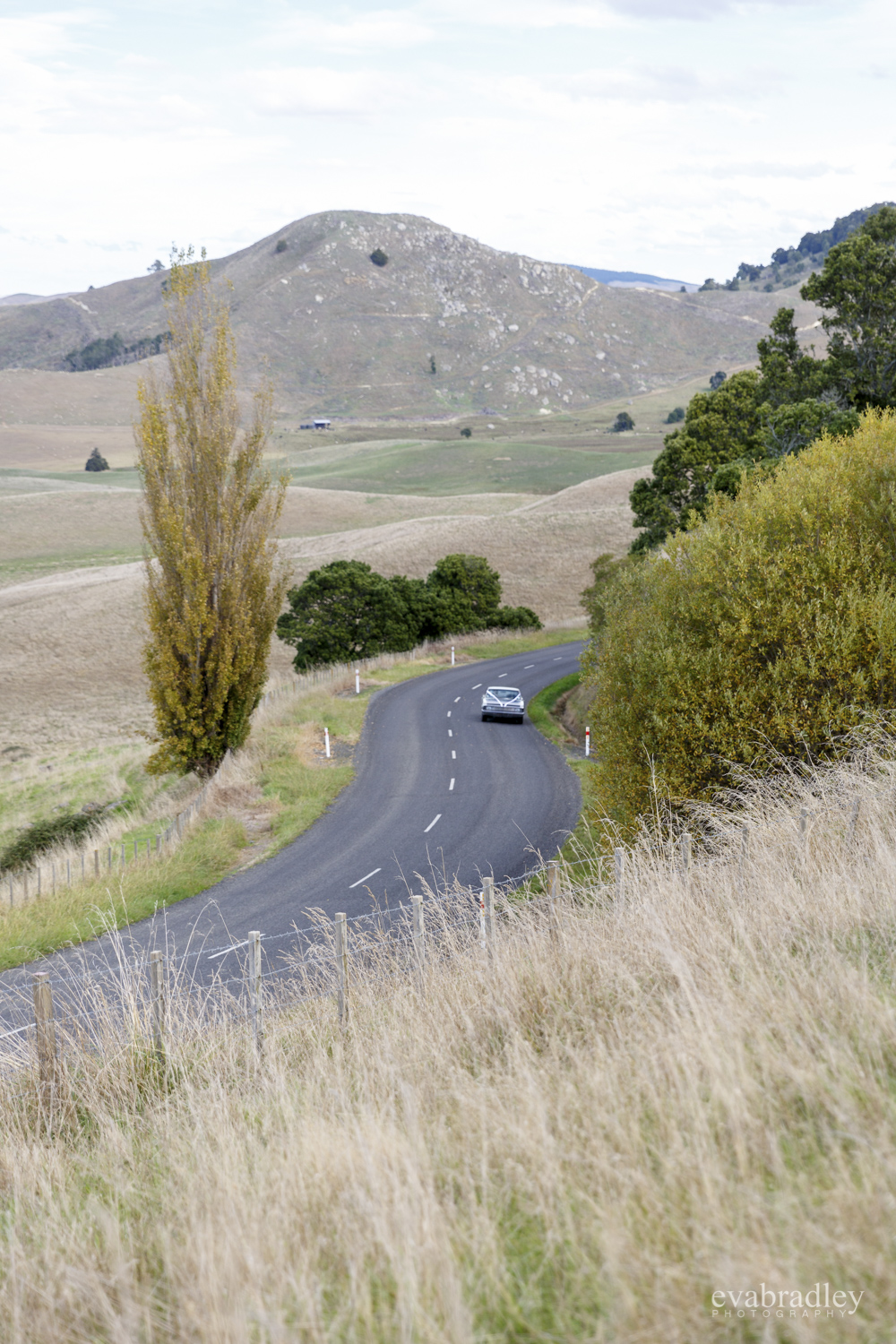 wedding-cars-hawkes-bay