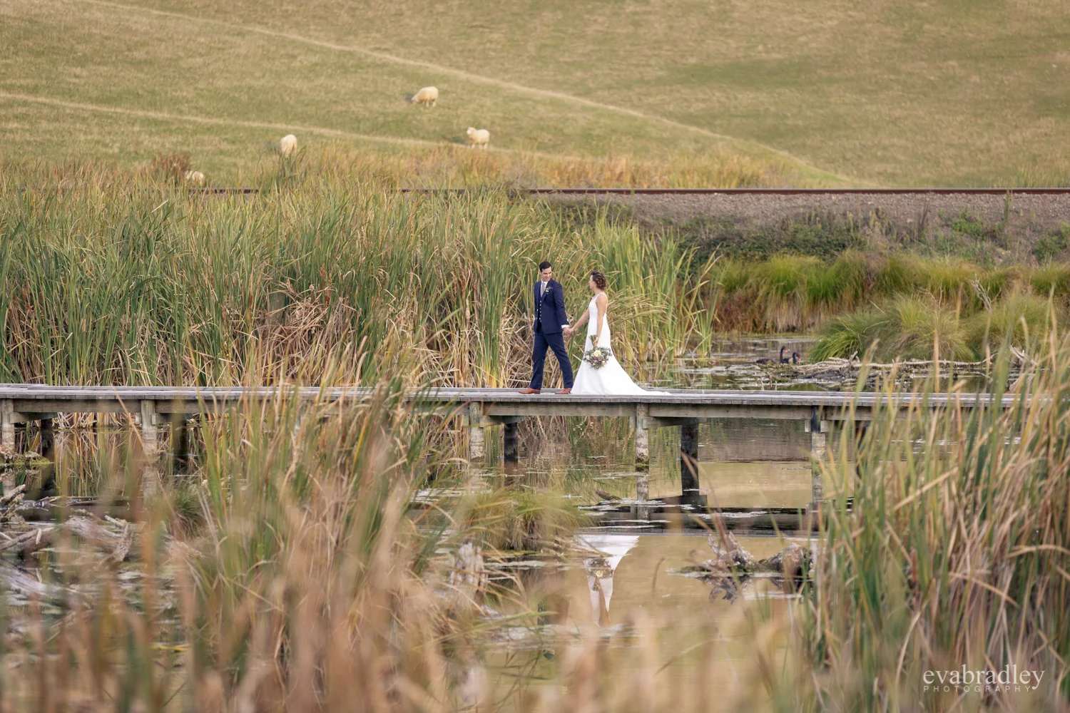 wedding-photographers-hawkes-bay-best