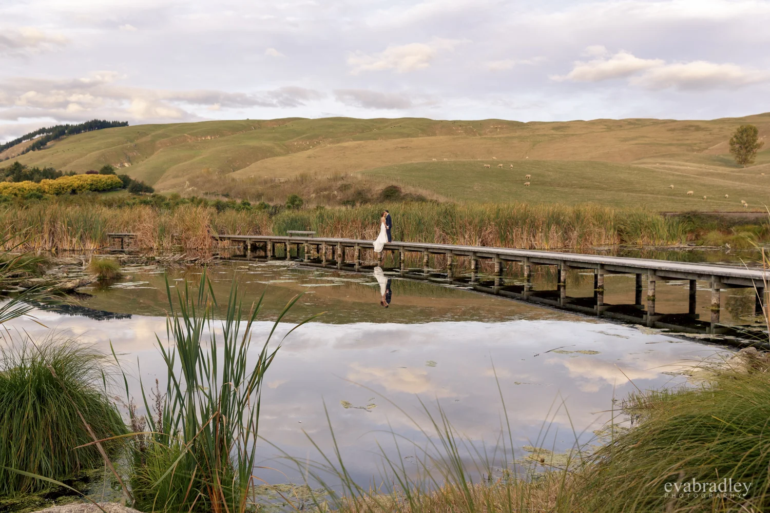 best-wedding-photographers-nz