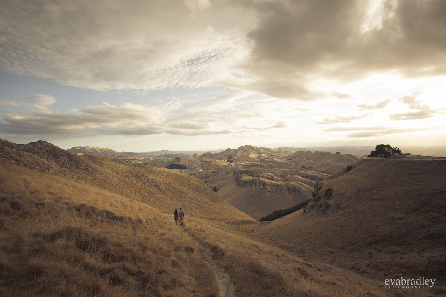 photography-hawkes-bay-nz