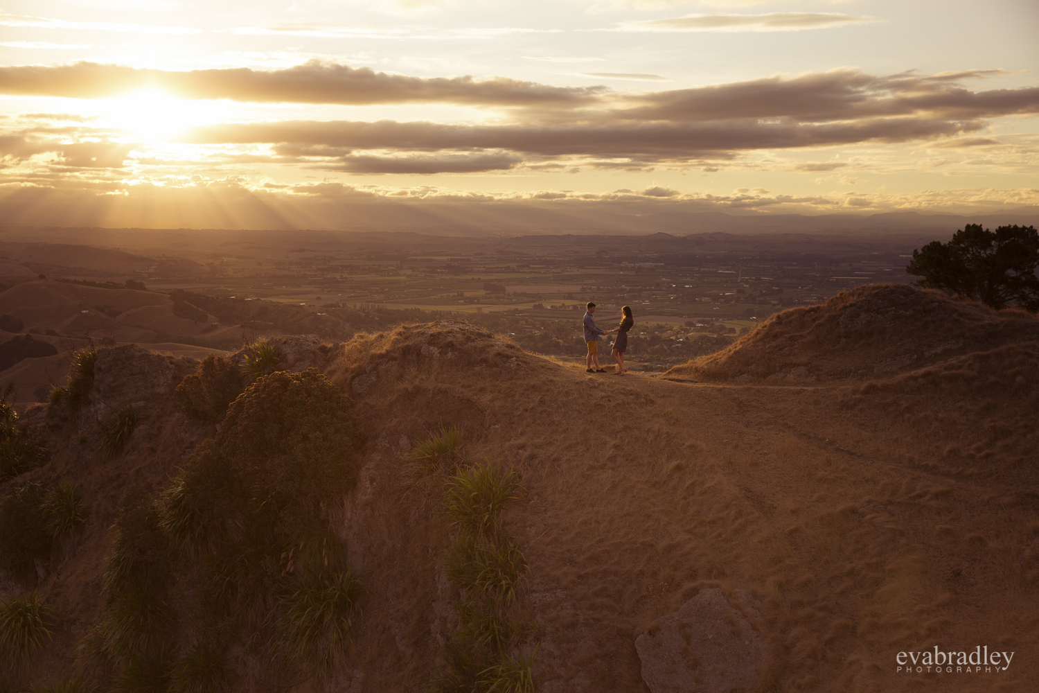 te-mata-peak-wedding-photography