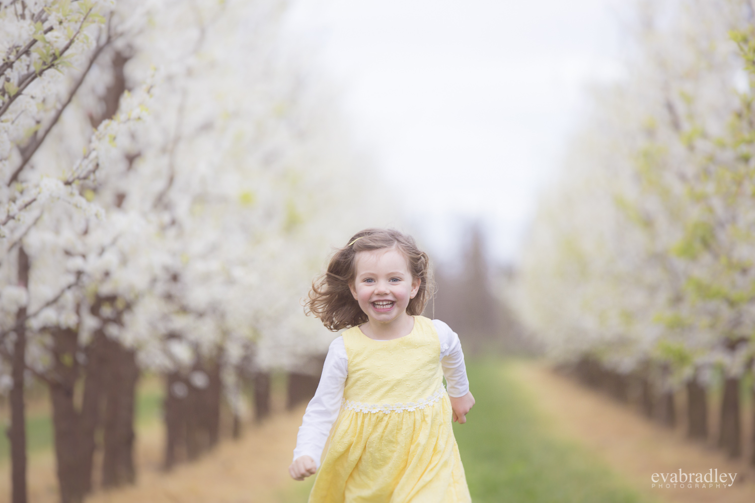 hawekes bay portrait photographers