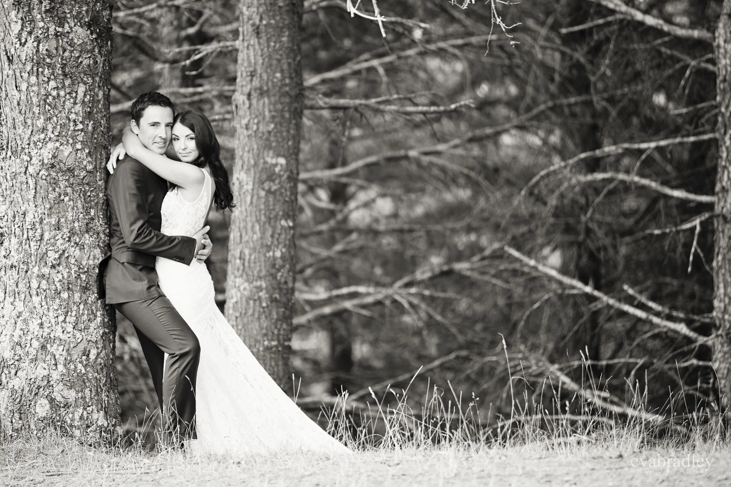 hawkes-bay-photographers