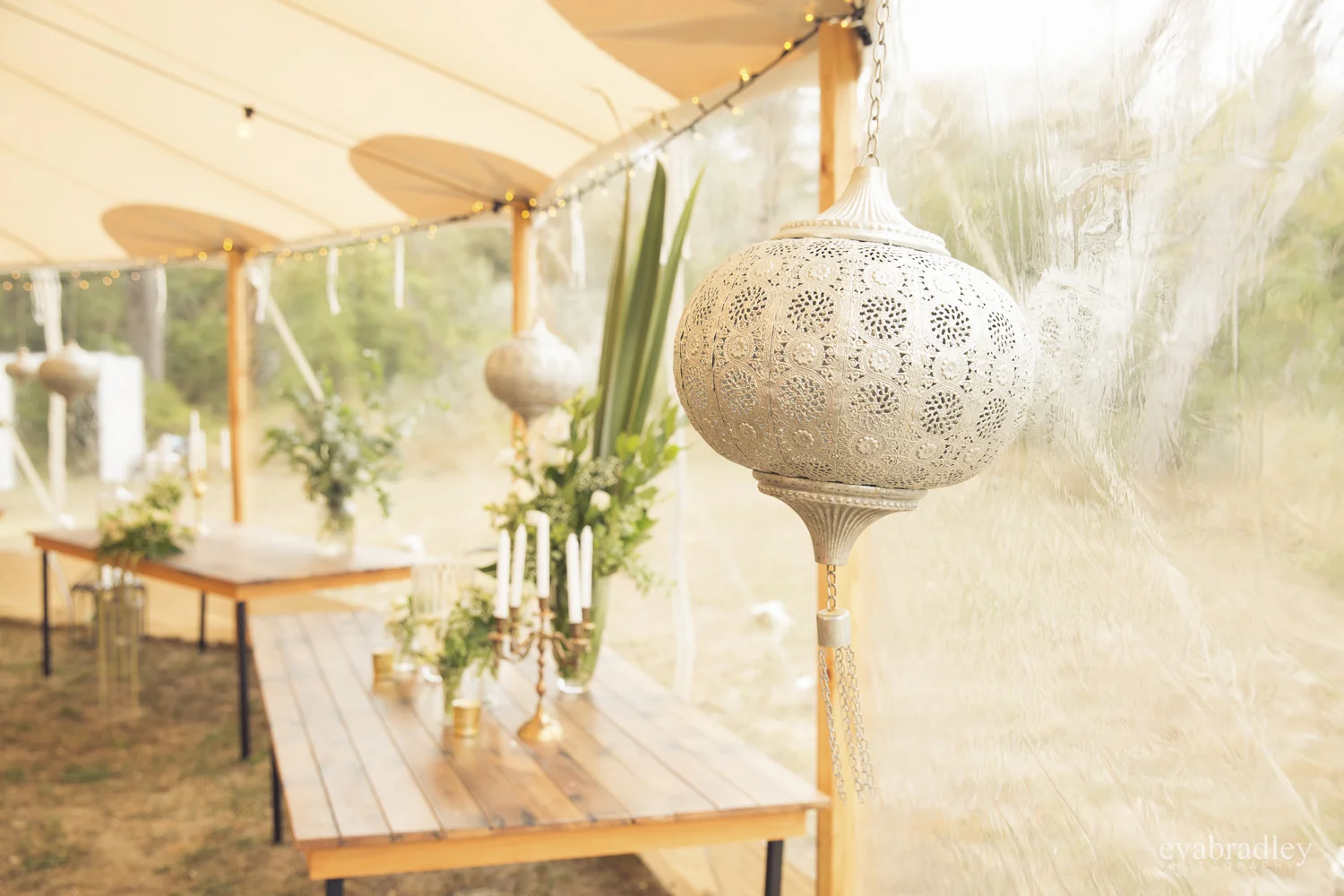 miss-frou-frou-hawkes-bay-photography