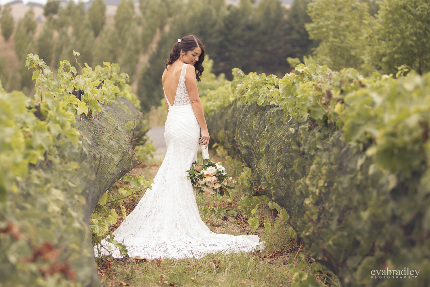 wedding-photography-at-black-barn-winery