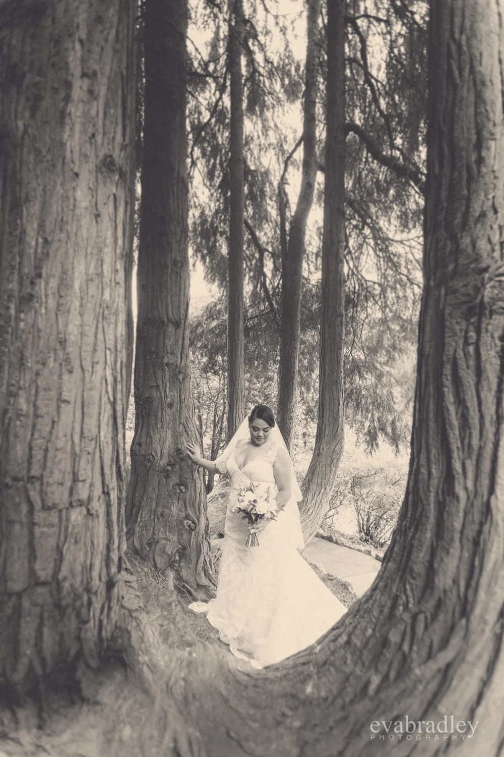 botanical-gardens-napier-nz-weddings