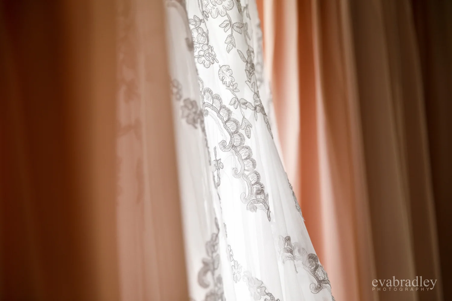 photography-hawkes-bay