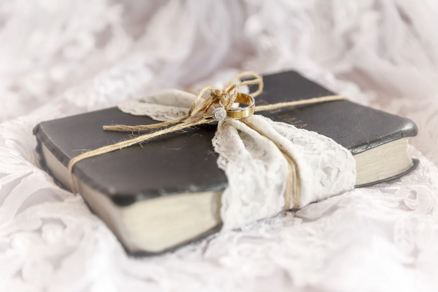 hawkes-bay-photographers-napier