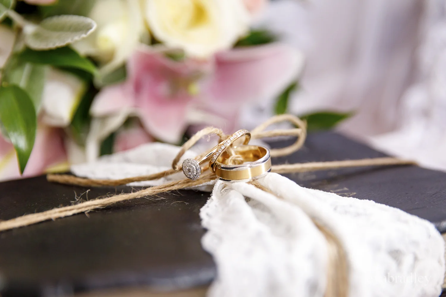 photographers-hawkes-bay