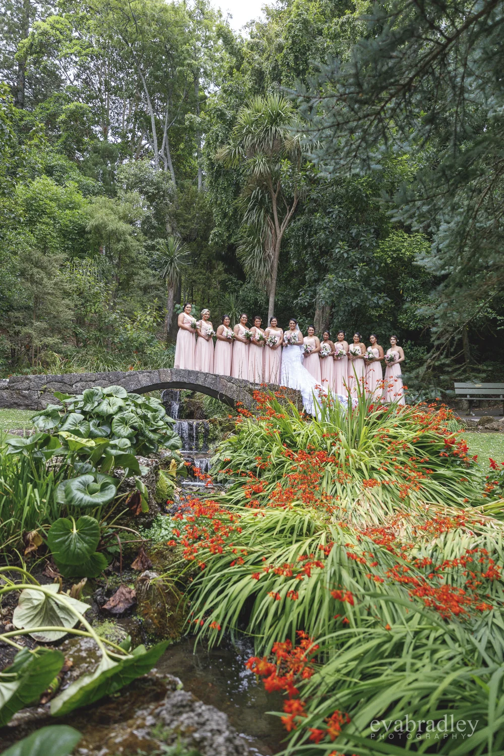 best-wedding-photographers-hawkes-bay