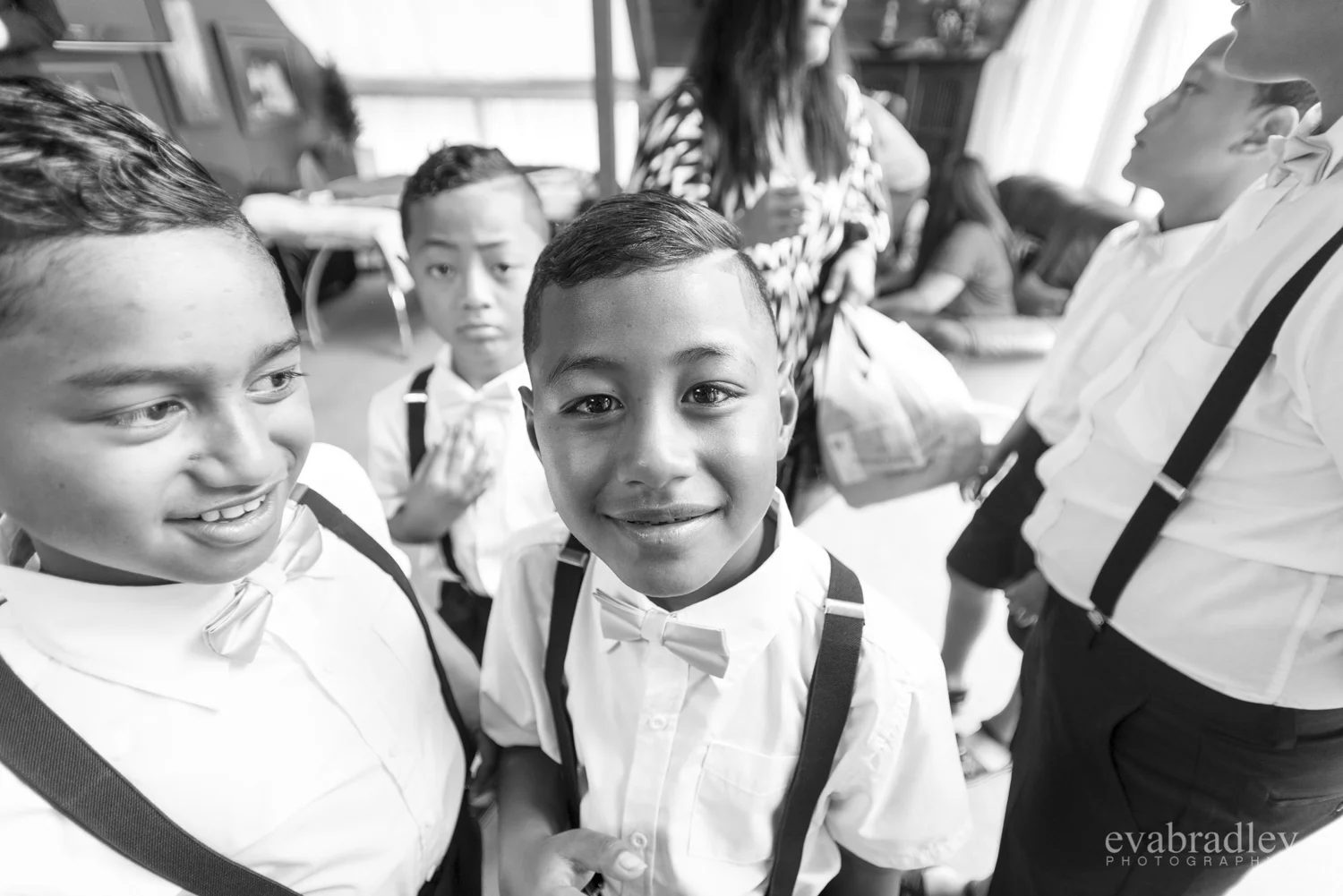 photography-napier-nz