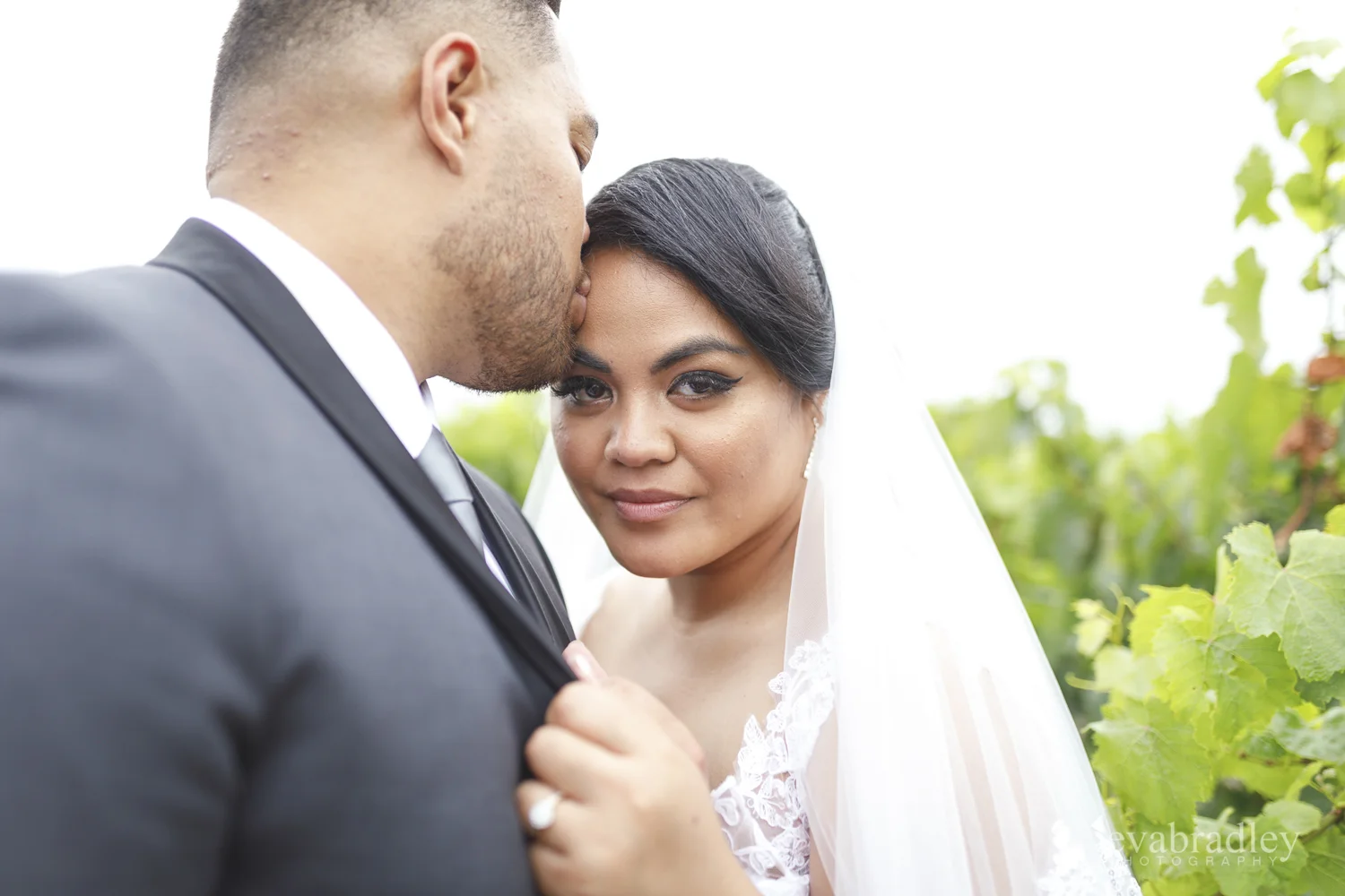 best-hawkes-bay-photographers