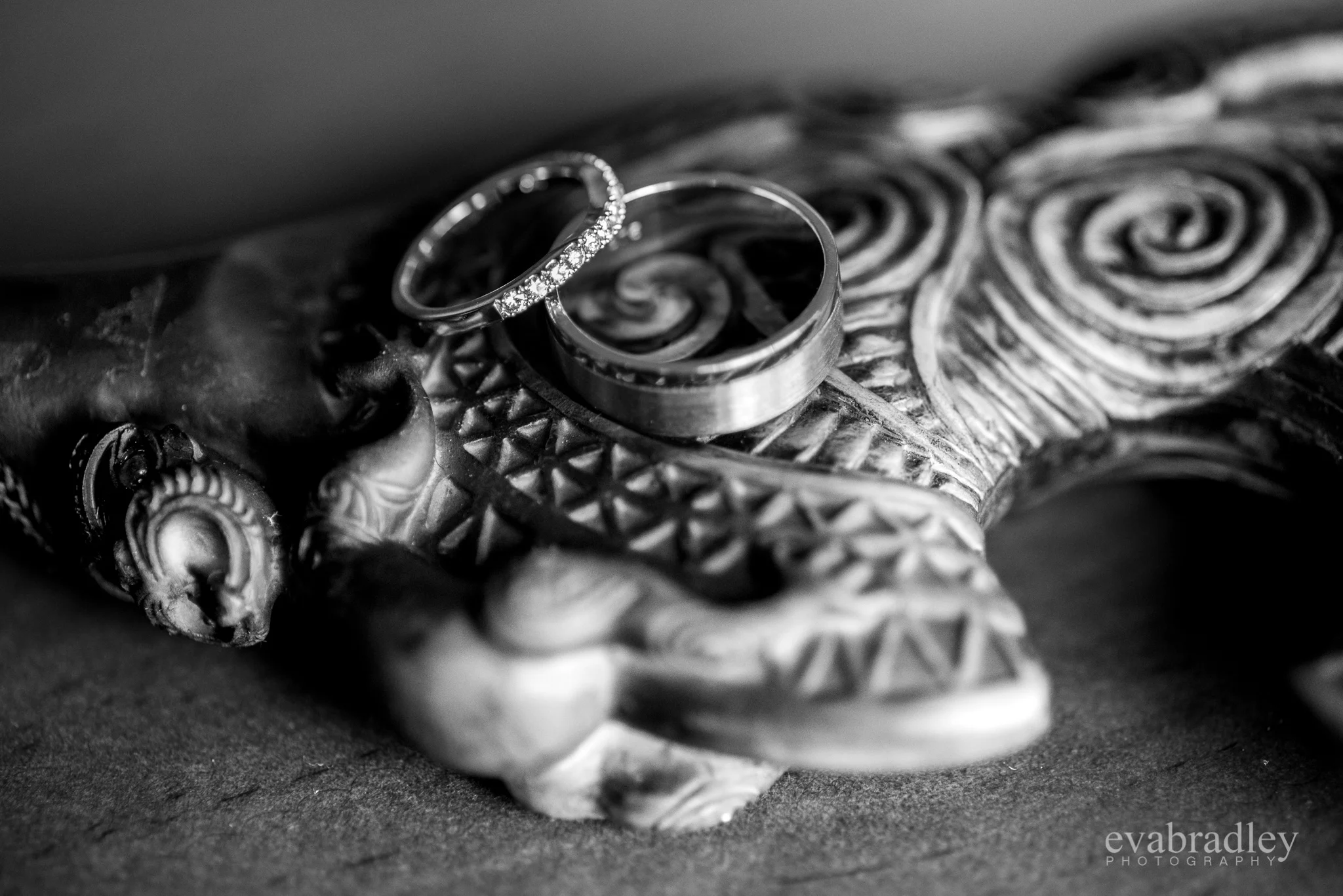 wedding-photography-oreti