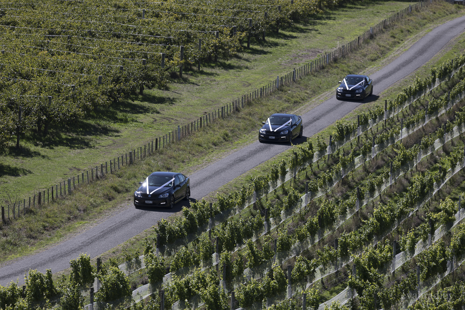 hawke's-bay-weddings-millar-road