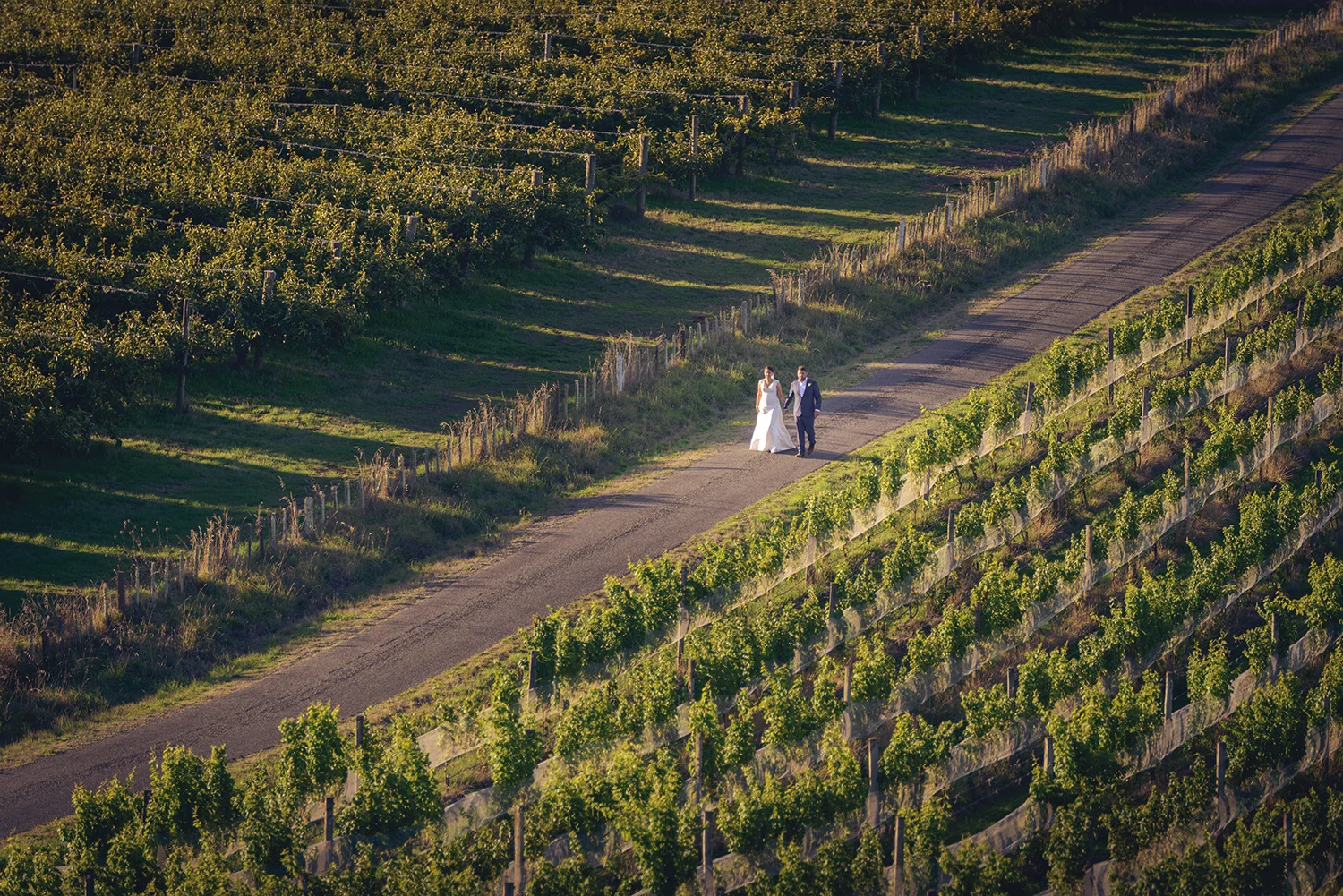 andrew-caldwell-eva-bradley