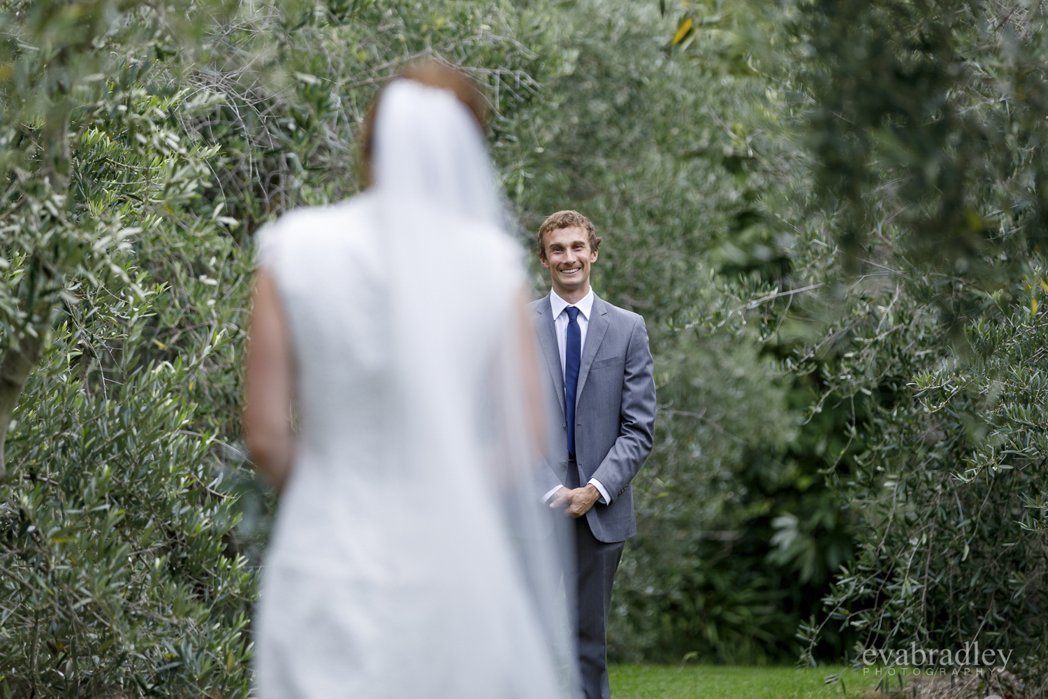 wedding-photographers-havelock-north